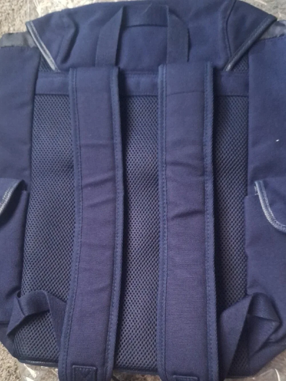 Polo by Ralph Lauren Navy Logo Backpack with Leather-Trim Straps